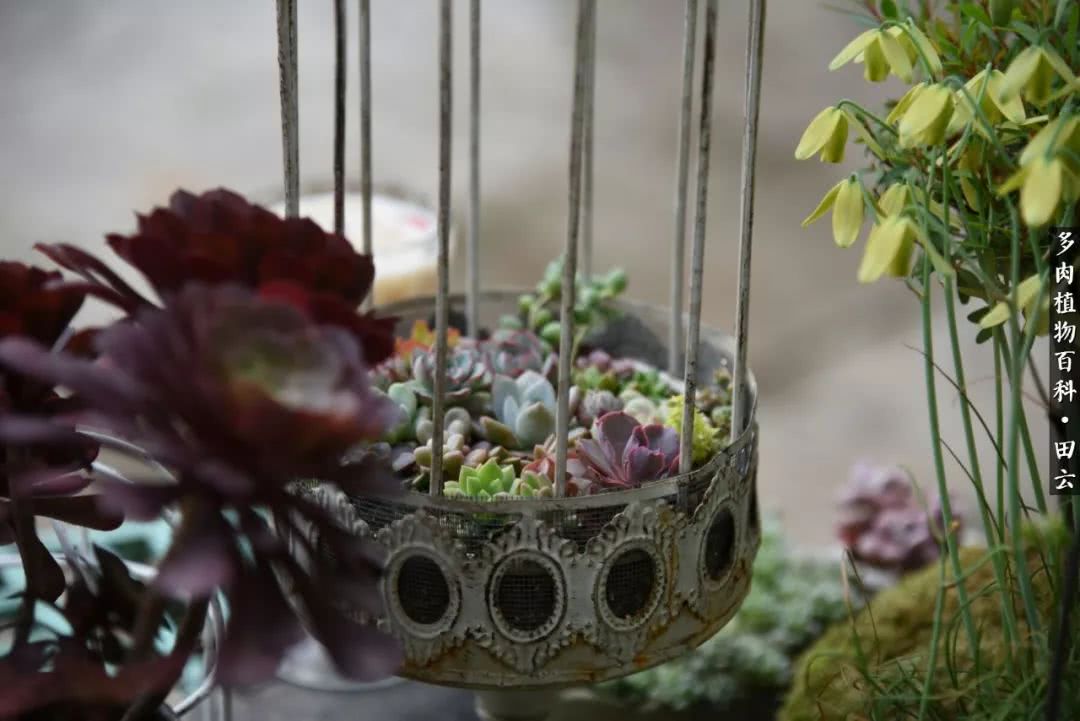 推开世界的门和自己和解,推开世界的门你所看到的风景