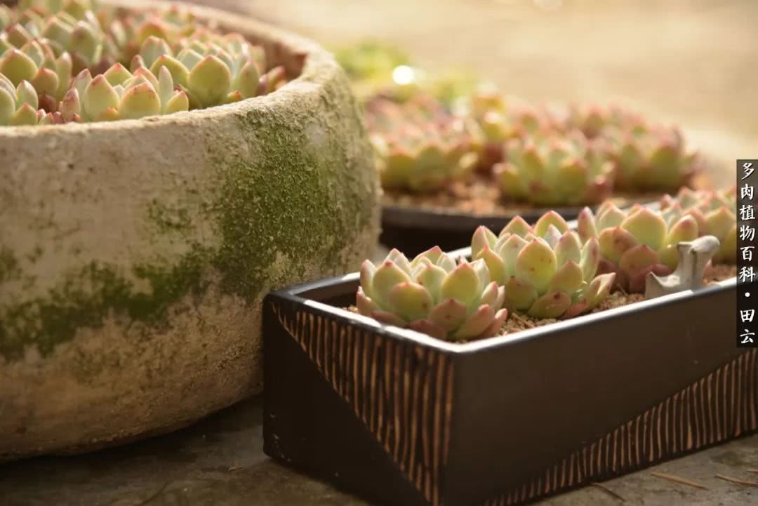 推开世界的门和自己和解,推开世界的门你所看到的风景