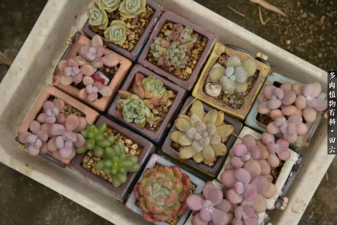 推开世界的门和自己和解,推开世界的门你所看到的风景