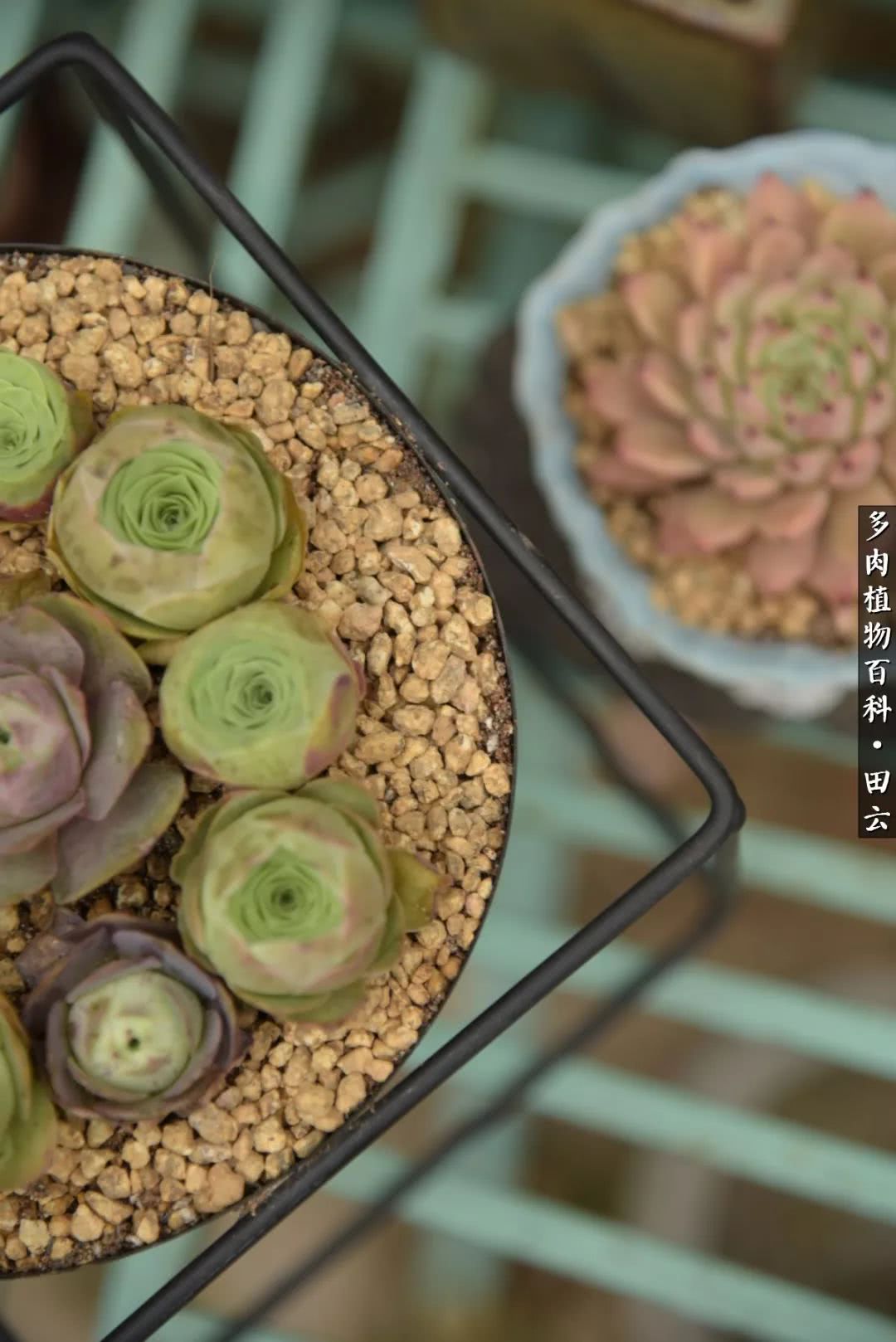 推开世界的门和自己和解,推开世界的门你所看到的风景