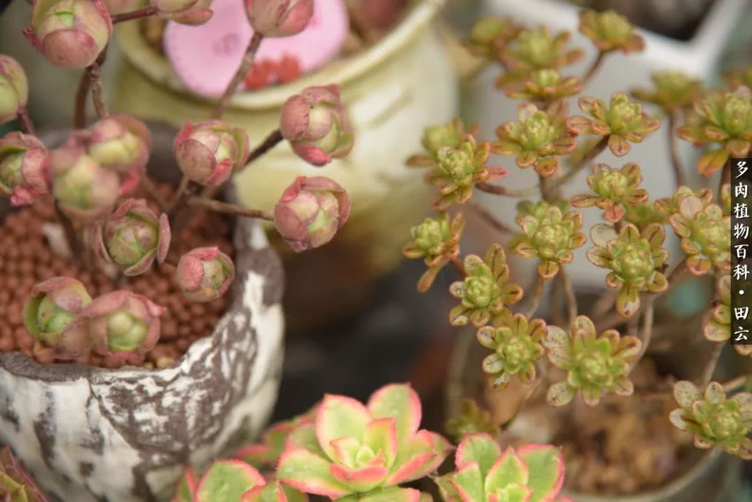 推开世界的门和自己和解,推开世界的门你所看到的风景