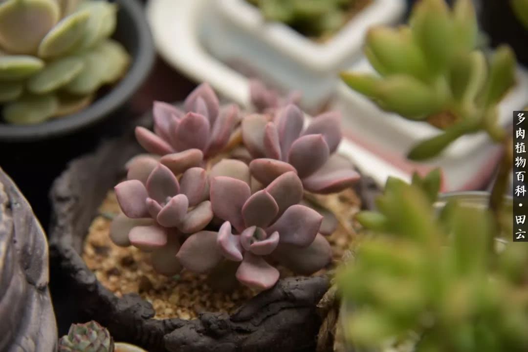 推开世界的门和自己和解,推开世界的门你所看到的风景