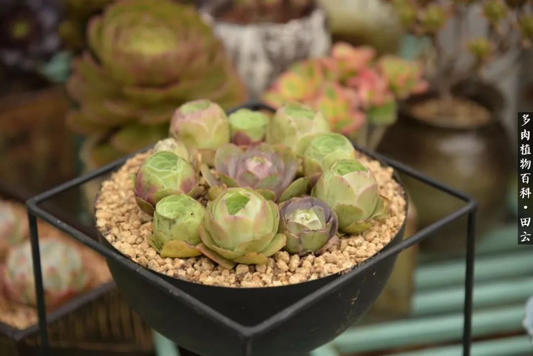 推开世界的门和自己和解,推开世界的门你所看到的风景