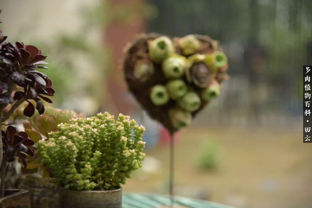 推开世界的门和自己和解,推开世界的门你所看到的风景