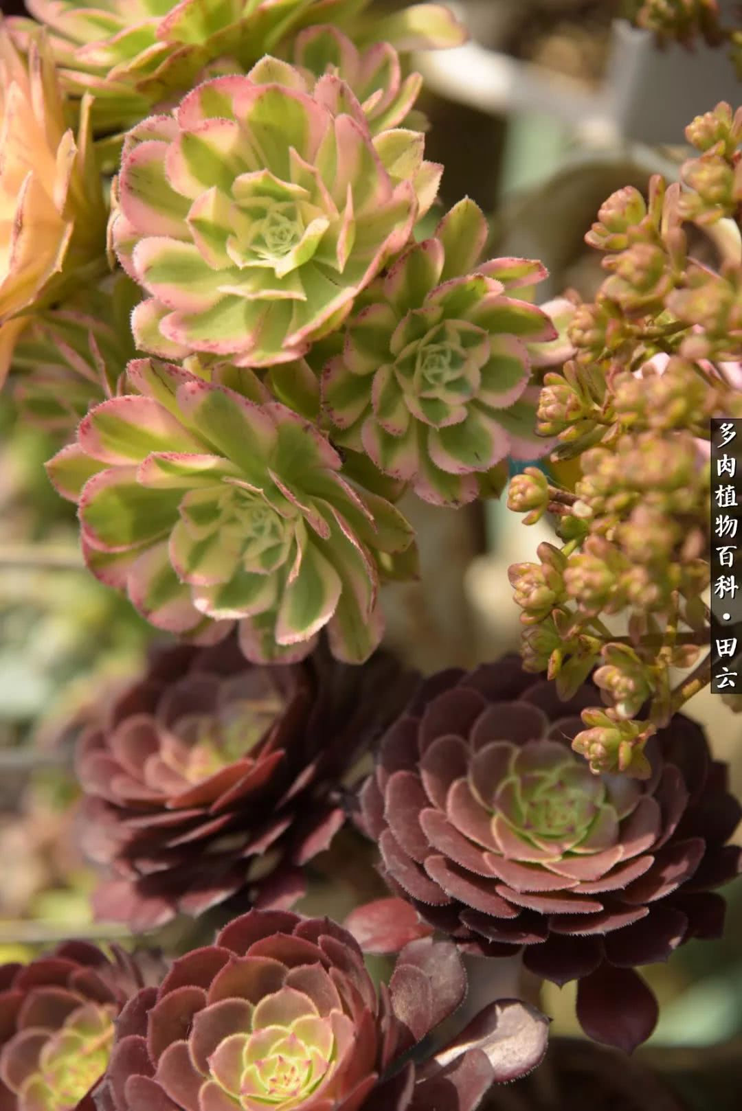 推开世界的门和自己和解,推开世界的门你所看到的风景