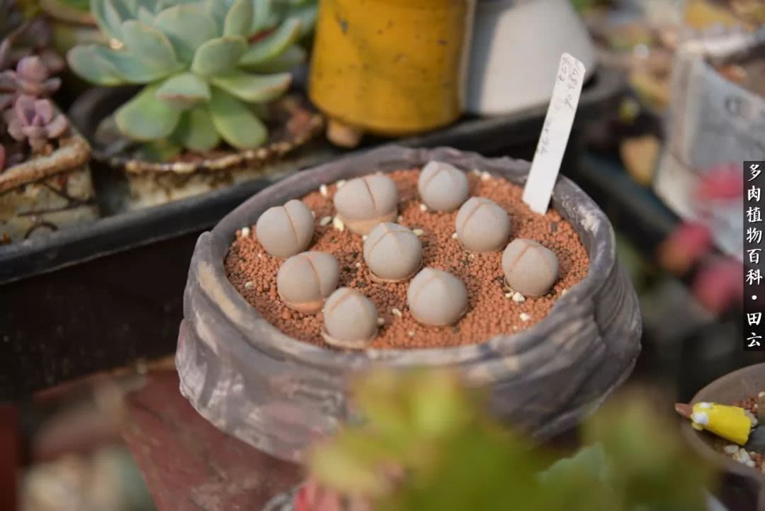 推开世界的门和自己和解,推开世界的门你所看到的风景