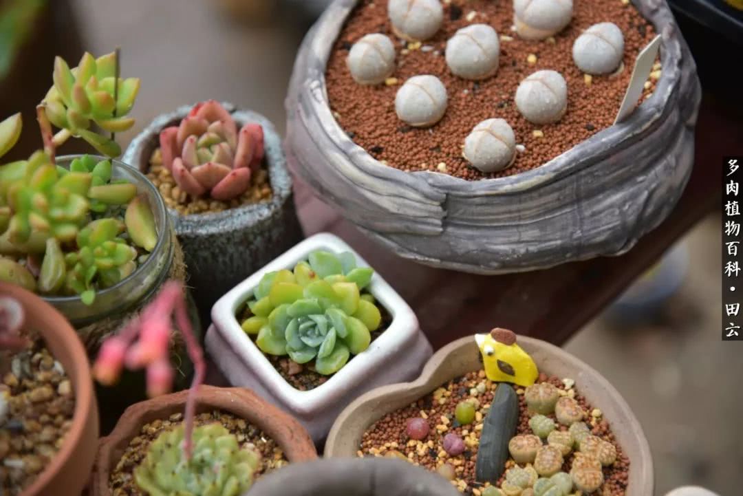 推开世界的门和自己和解,推开世界的门你所看到的风景