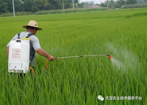 这些农药知识你一定要知道,农药四霉素缺点