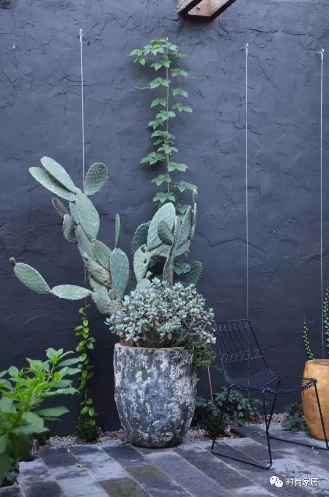 火了几十年的装修,黑白灰极简风墙面用什么好