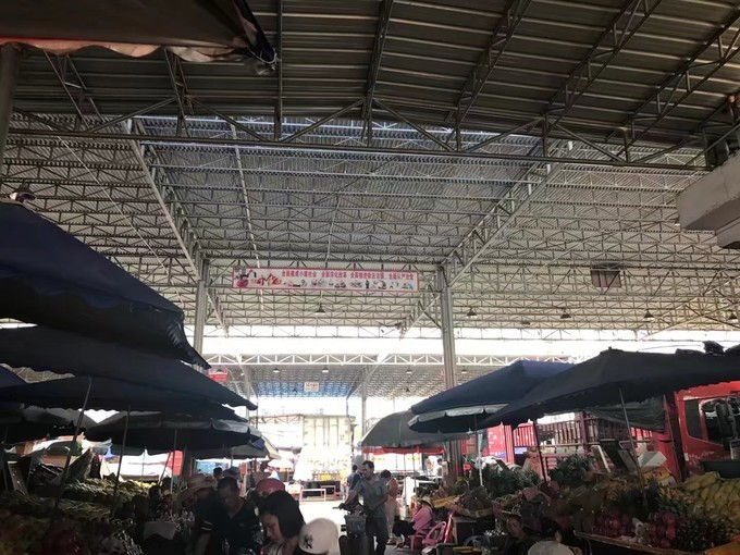 一个人的海口旅行,一个人的三亚自由行