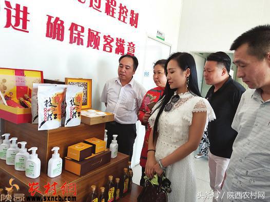 韩城市板桥镇王村,陕西省韩城市板桥镇王村