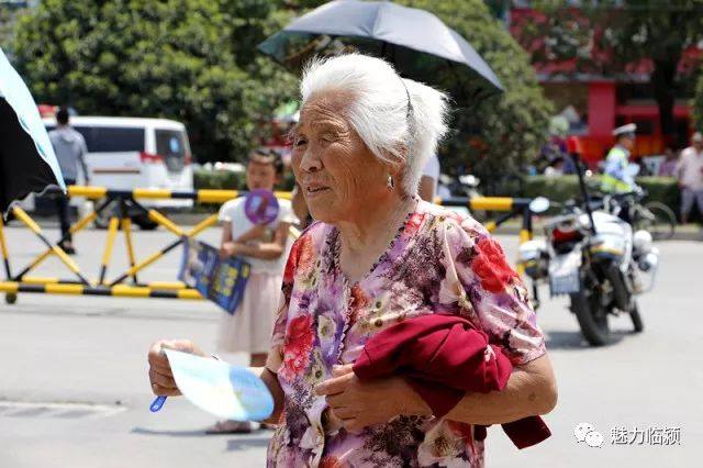 临颍高考,河南高考临颍