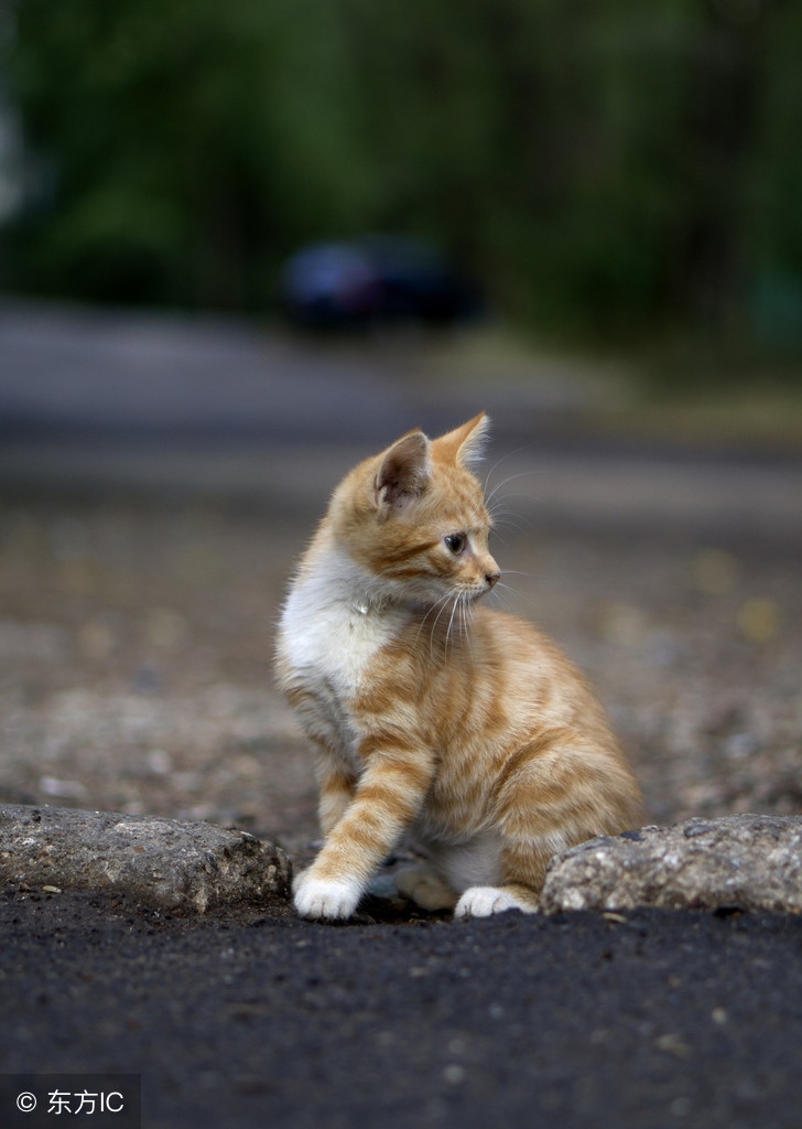 算题粗心大意怎么办,粗心犯错怎么解决