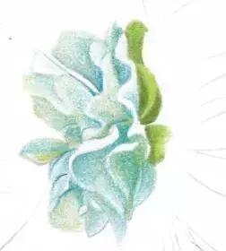 彩色铅笔教程小仙女,彩色铅笔仕女教学