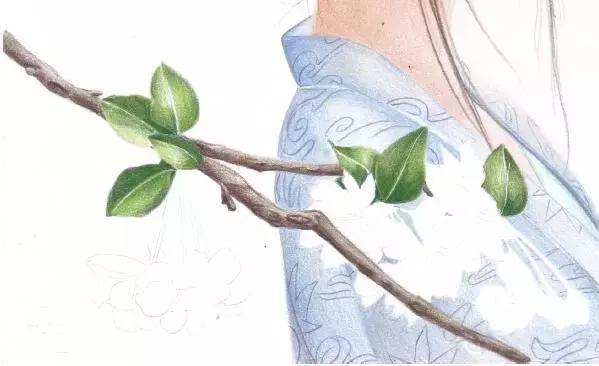 彩色铅笔教程小仙女,彩色铅笔仕女教学