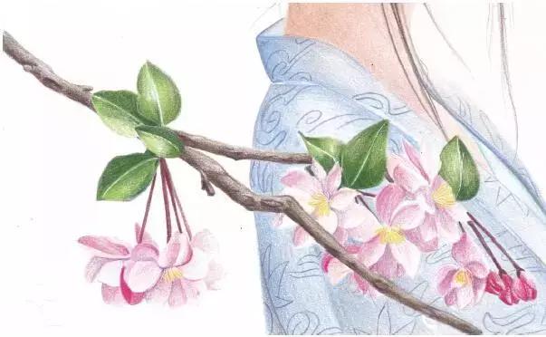 彩色铅笔教程小仙女,彩色铅笔仕女教学