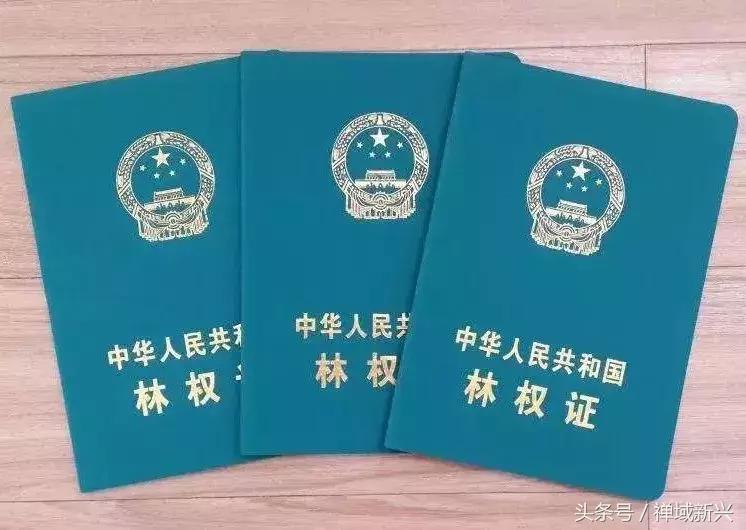 集体土地建设用地使用证换新证,农村土地证旧了怎么换新证