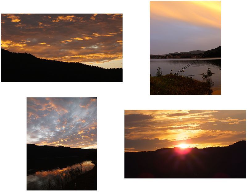 七色彩虹钓鱼视频大全,钓鱼那些快乐事