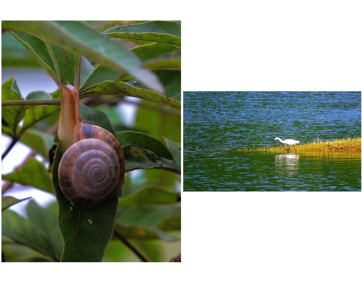 七色彩虹钓鱼视频大全,钓鱼那些快乐事