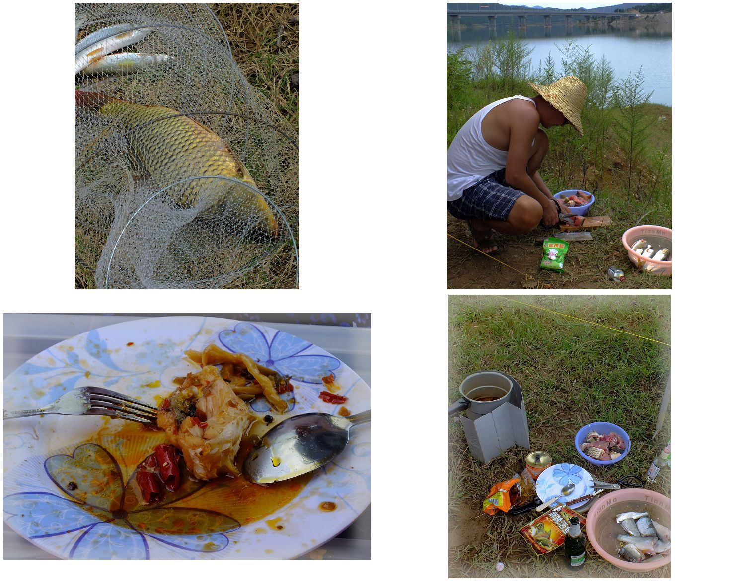 七色彩虹钓鱼视频大全,钓鱼那些快乐事