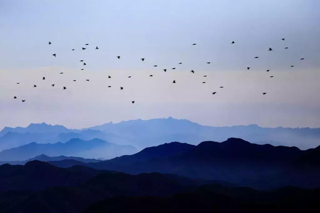 索尼黑卡rx100m出片效果,索尼sony黑卡6dsc-rx100m6