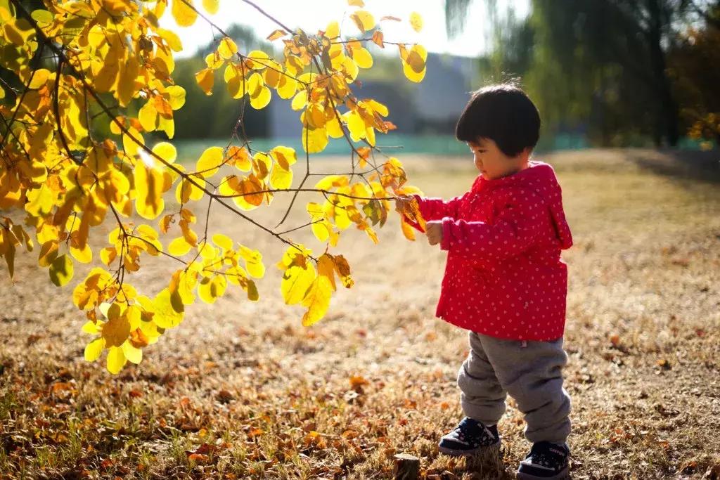 索尼黑卡rx100m出片效果,索尼sony黑卡6dsc-rx100m6