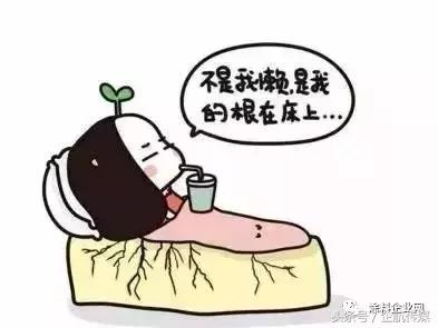 涂料销售商业模式,涂料销售如何入手