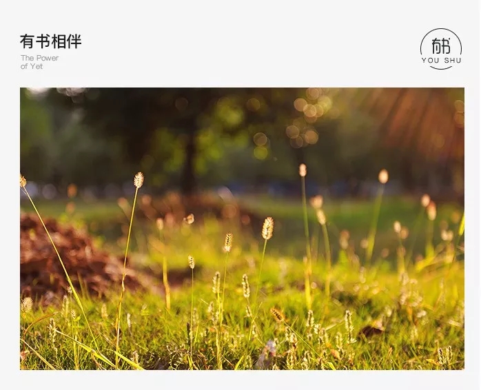 人际交往中的常见误区与解析,在人际交往遇到哪些问题