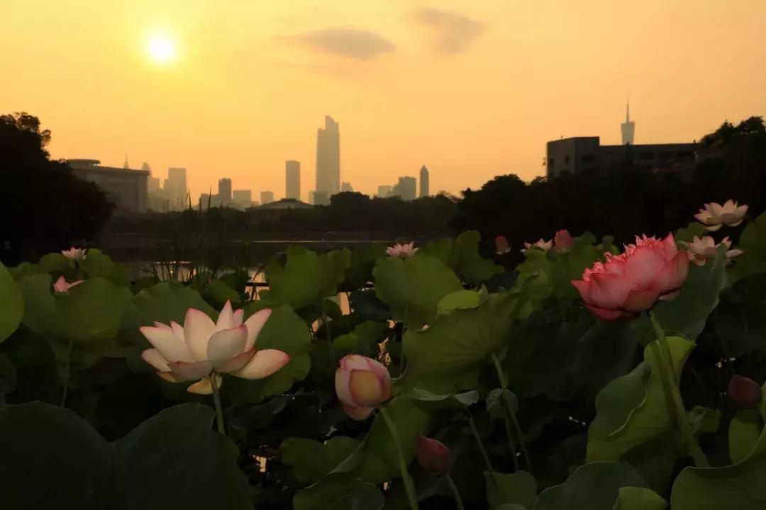 广州青年上班族通勤状况调查报告,广州郊区通勤上班