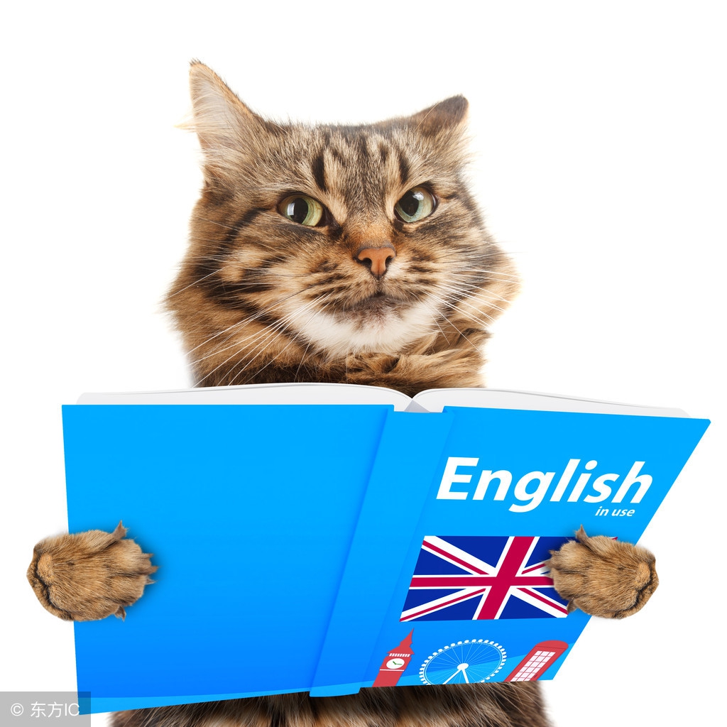 仁爱版七年级下册英语期中必考题,仁爱版七年级下册英语u6t1短语