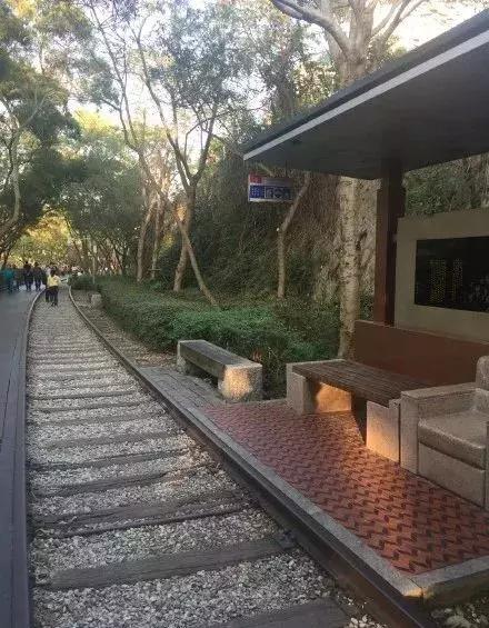 最全厦门旅游攻略,最全厦门旅游攻略推荐