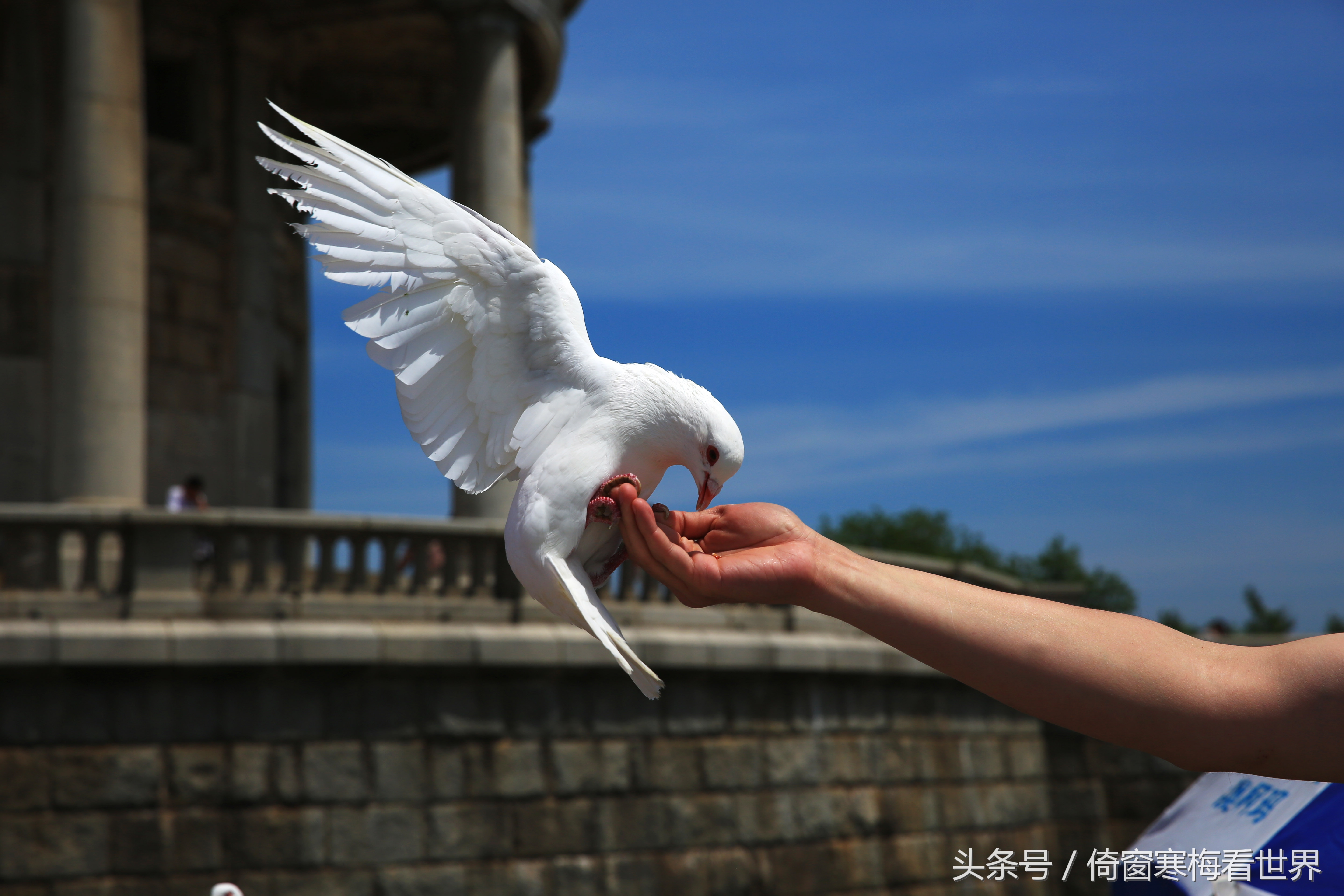 从203高地看旅顺口军港,大连世界五大军港