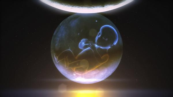 香头掉了一根香的预兆,香头断了好不好