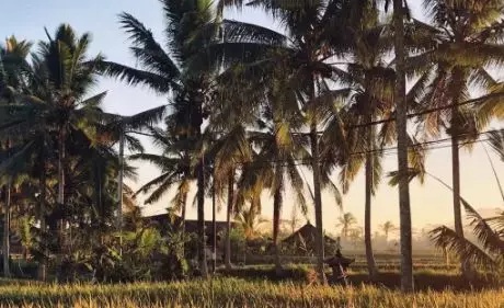 巴厘岛旅游目的地,巴厘岛深度游