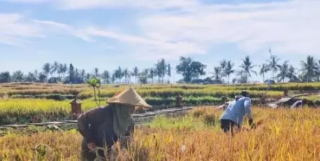 巴厘岛旅游目的地,巴厘岛深度游