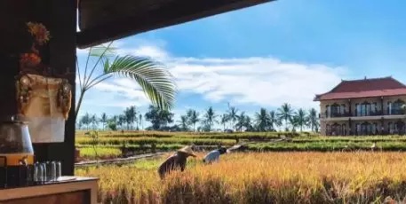 巴厘岛旅游目的地,巴厘岛深度游