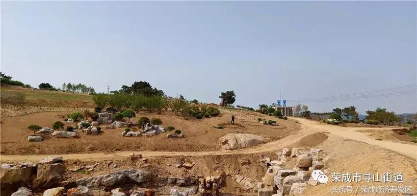 现代农业休闲旅游基地——金苹果欢乐世界落户寻山