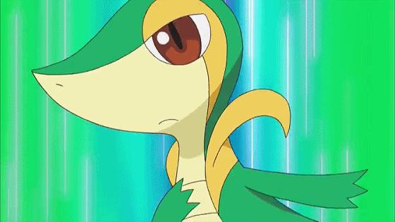 小智18种属性神奇宝贝介绍,小智的神奇宝贝胜率