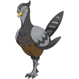 小智18种属性神奇宝贝介绍,小智的神奇宝贝胜率