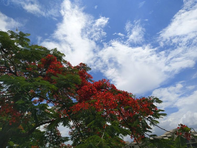 安逸的小镇推荐,安逸的小县城