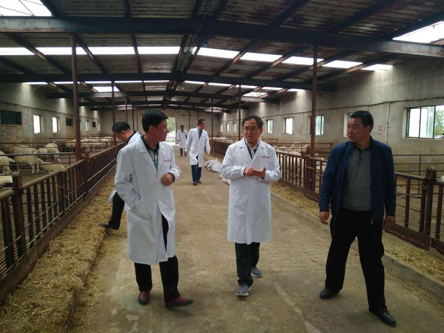 致富新项目快速盈利,新致富项目有哪些