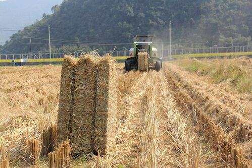 致富新项目快速盈利,新致富项目有哪些