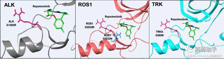 美国新上市的抗肺癌药物,asco抗癌新药