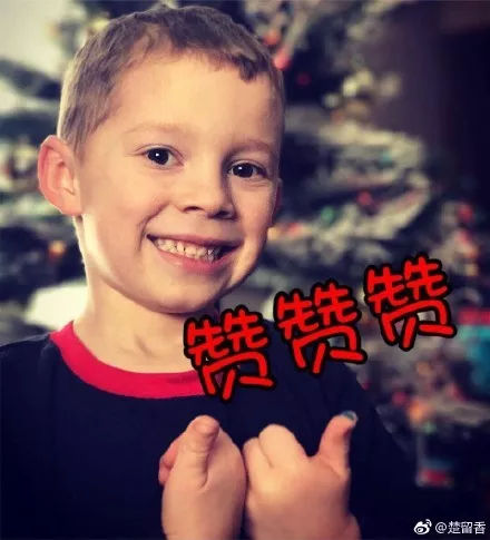 浜掑柗浜掗獋,浜掑柗瀵归獋