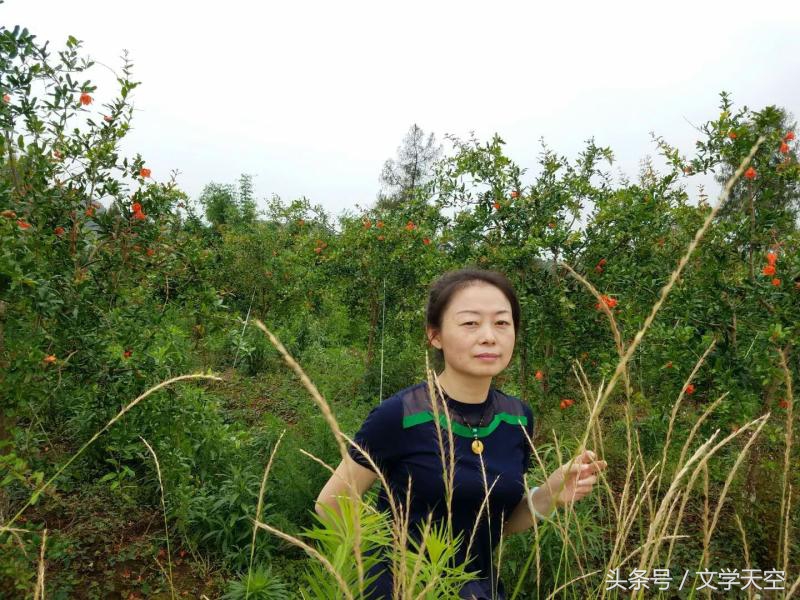 红海行动战狼感言,影评情感分析战狼2和红海行动