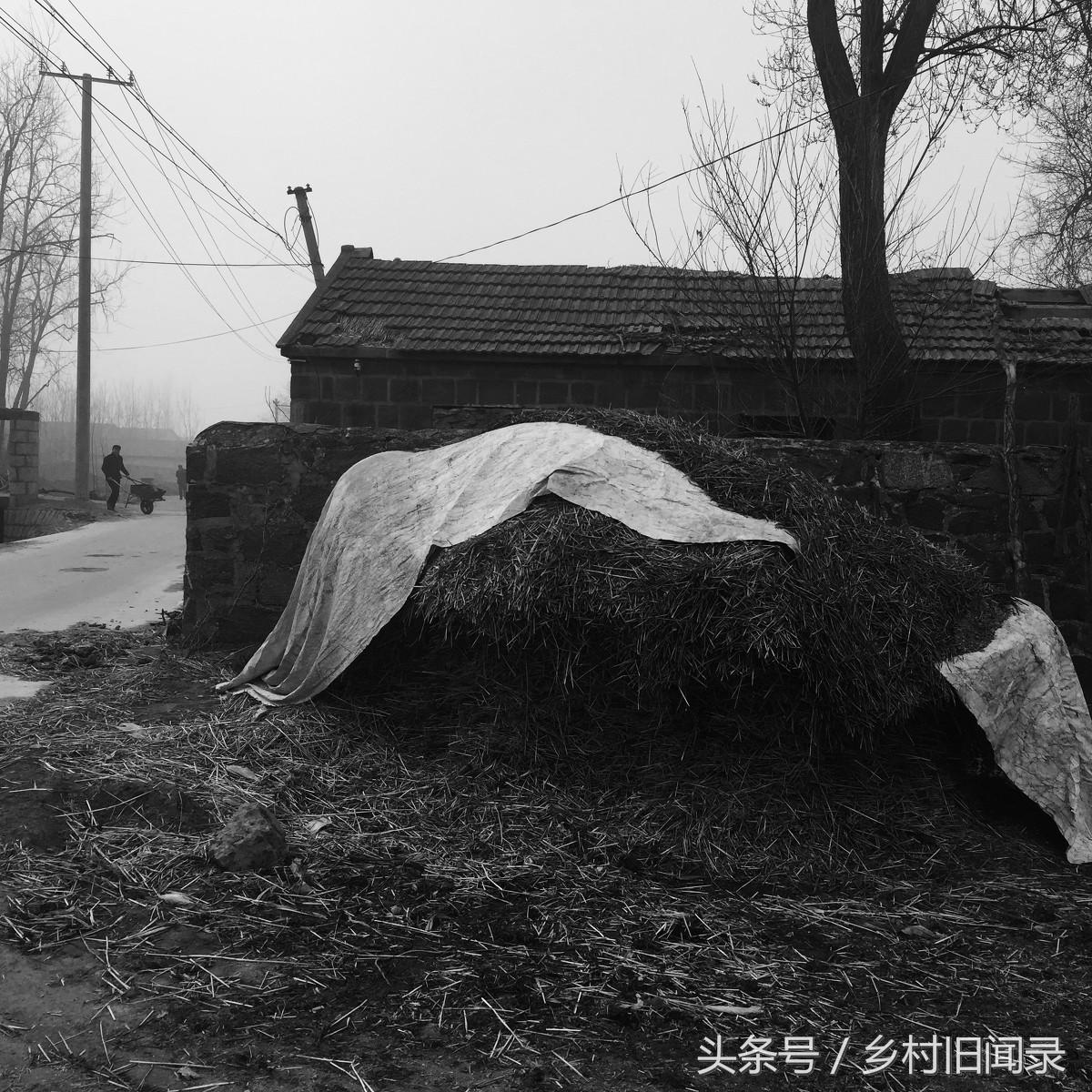 秀儿穿新衣服,秀儿的结婚照片