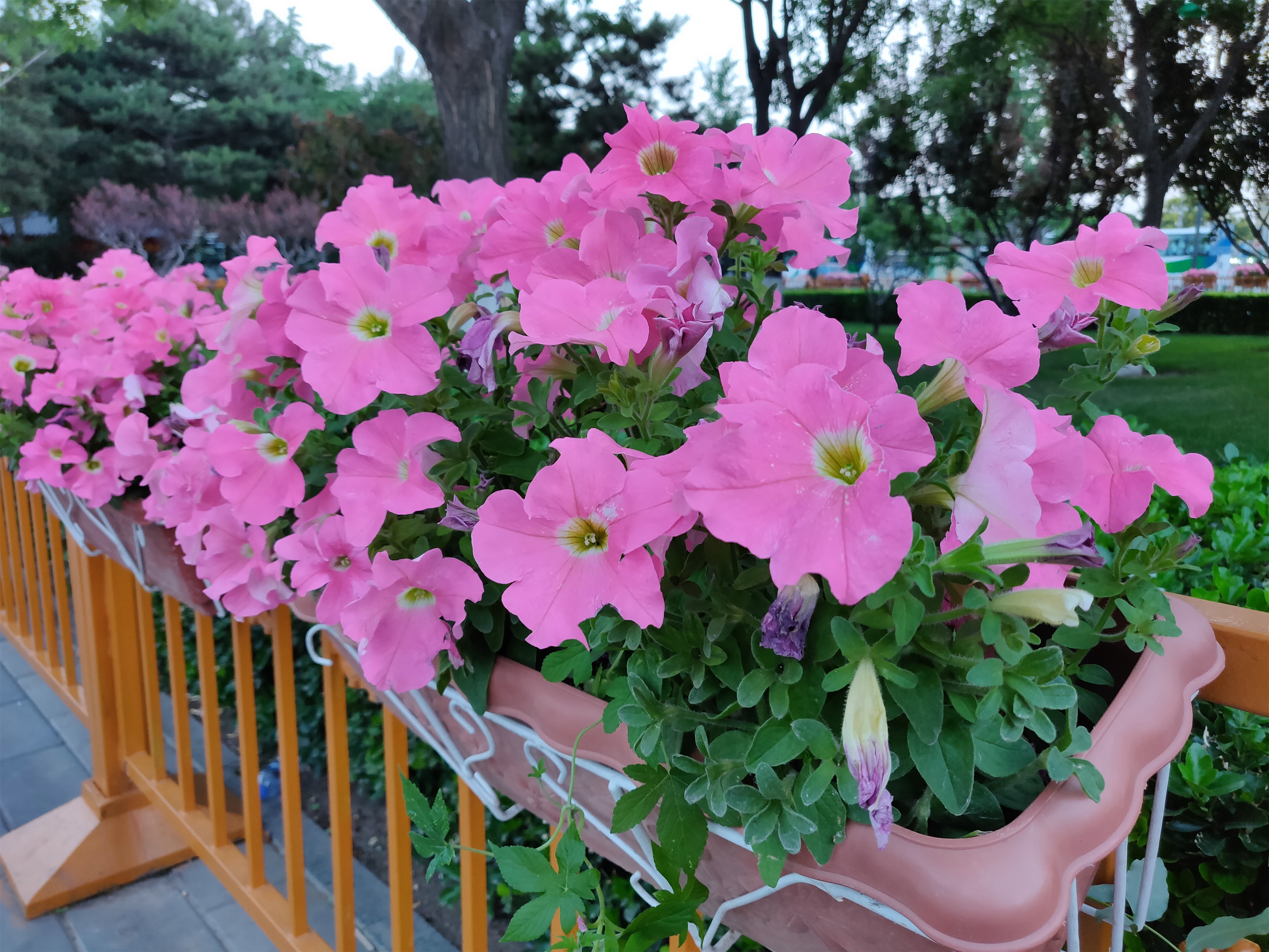 一加6测评,一加6开箱体验