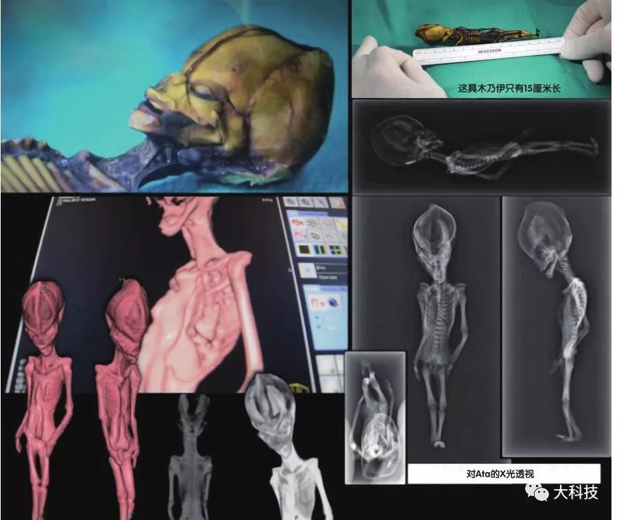 沙漠外星遗迹,地下沉睡的骸骨