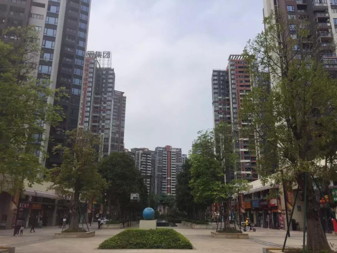 临深置业首选,临深第一盘