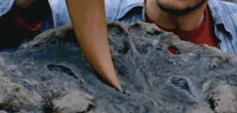 世界上有没有龙的存在真实视频,如果龙真的存在世界会怎么样